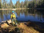 Jennifer Gibson is the new post-wildfire coordinator for the National Park Service.