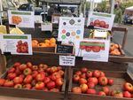 Dry-farmed tomatoes by Camron Ridge Farm are displayed at Albany Farmers Market.