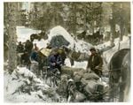 Sled dogs played a critical role in the Klondike Gold Rush in the 1800s.