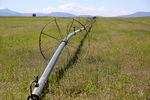 A wheel line irrigation system crosses a field in Jefferson County, near Madras, Ore., in May 2022. Years of water shortages have challenged farmers in the North Unit Irrigation District.