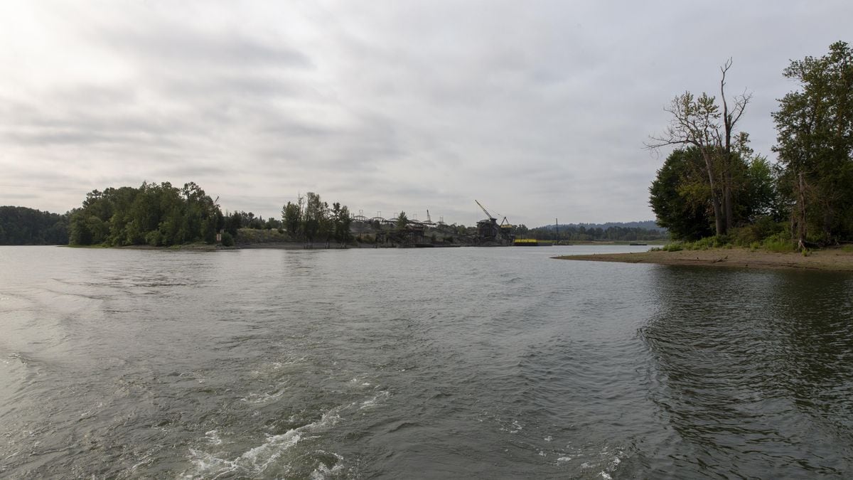 Marine board votes to restrict wake sports on Portland’s Willamette River