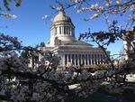 In this file photo, the cherry blossoms are in bloom at the Washington state Capitol. On Friday, state lawmakers asked Gov. Jay Inslee to consider reopening some non-essential businesses that were closed because of the coronavirus pandemic.
