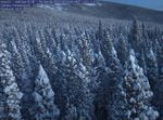 Snow Spotter is a citizen science project launched through University of Washington in which volunteers classify time lapse images from forest canopies at four sites, including Niwot Ridge in Colorado, shown in this image.