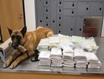 In this photo provided by the Oregon State Police, K-9 Titan is photographed next to drugs found by an OSP Trooper during a traffic stop, April 23, 2023. OSP confiscated 51 pounds of suspected methamphetamine, 31 pounds of suspected powder fentanyl, 9 pounds of suspected cocaine and 2 pounds of suspected heroin.

