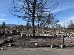 Mailboxes at the burned manufactured home park Royal Oaks Mobile Manor after the Almeda Fire.