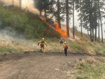 Burn out operations on the Double Creek Fire near the Oregon-Idaho border on Sept. 4, 2022.