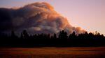 a large orange and gray plume of smoke rises from a dark forest against a purple sky