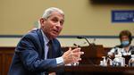 Dr. Anthony Fauci, director of the National Institute for Allergy and Infectious Diseases, is pictured in a hearing on July 31. He is testifying on Wednesday alongside other top health officials in a Senate panel hearing.