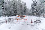 Falled trees, stuck cars and downed power lines led to the closure of W. Burnside Rd. at NW Skyline Blvd, April 11, 2022.