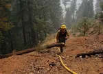An Oregon Department of Forestry wildland firefighter working at the Smokey fire on August 5th, 2022