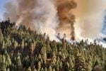The Canyon Creek Complex Fire in the Malheur National Forest near Canyon City, Oregon began on Aug. 12, 2015 and has consumed an estimated 37, 119 acres. The fire was caused by lightning.