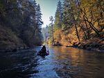 Fisheries biologists with the Washington Department of Fish and Wildlife float the lower section of the White Salmon River each fall to count returning salmon.