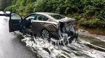 Slime eels cover a car on Highway 101 after a truck carrying the eels overturned.