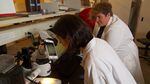 OPB's Cassandra Profita and Jes Burns look for microplastics at a Portland State University lab.