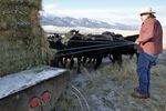 Head of the Oregon Cattlemen's Association, Todd Nash, delivers $300 worth of feed to cattle on his ranch in Wallowa County on Thursday, Jan. 19, 2023. Retailers, shippers and processors receive 80% of a cows’ value – and often those companies are large, out of state, organizations.
“That money can be all captured here,” Nash said. “It could benefit our communities, especially those that have lost logging and timber and mill infrastructure.”