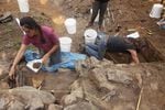 Archaeologists excavate the hearth from a Chinese gold miners' cabin in the Malheur National Forest.