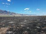 In 2017, the Fields-Andrews rangeland fire protection association helped put out a fire near Steens Mountain in southeastern Oregon.