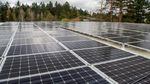 Solar panels on the roof of the Education Center. © Oregon Zoo / photo by Michael Durham.