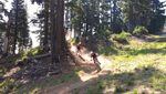 Mount Bachelor opened to mountain bikers to cater to Bend's growing "bike scene."
