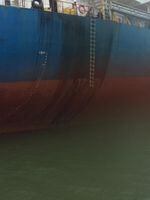 Bunker oil spills down the hull of the Nord Auckland, a Singapore-flagged long bulk carrier in the Columbia River.