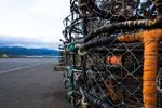Idle crab pots are stacked high on the Port of Port Orford’s dock.