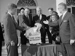 President John F. Kennedy reaches out to touch a turkey presented to him at the White House from the turkey industry.