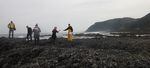 Oregon State University researchers record measurements in the intertidal zone on the coast.
