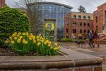 Students walk across the University of Oregon campus on a rainy March day in this 2015 file photo. 