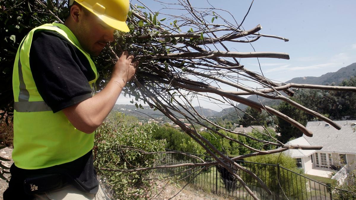 Some of Eastern Oregon’s smallest communities look for wildfire protection through Firewise