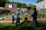 Melissa Bender, 40, and Zach Bender, 7, sample freshly picked asparagus while Chris Bender, 46, ponders garden ideas with Jenna Fournel at their home in Alexandria, Virginia on April 30, 2022.