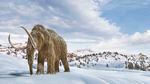 Artist's impression of a woolly mammoth in a snow-covered environment.