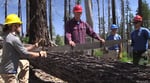 Aaron Babcock teaches volunteers how to use an old-fashioned crosscut saw.