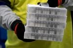 Boxes containing the Pfizer-BioNTech COVID-19 vaccine are prepared to be shipped at the Pfizer Global Supply Kalamazoo manufacturing plant in Portage, Mich., Sunday, Dec. 13, 2020. Health care workers were the first to receive vaccinations on Monday.