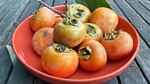 A bowl of persimmons.