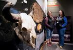 Stephanie Gillin, the education program manager for CSKT's natural resources program, and Whisper Camel-Means, the CSKT's division manager for the bison range, pose for a picture by the skull of a bison at the bison range visitor center.