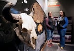 Stephanie Gillin, the education program manager for CSKT's natural resources program, and Whisper Camel-Means, the CSKT's division manager for the bison range, pose for a picture by the skull of a bison at the bison range visitor center.