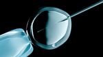 IVF is a process that involves retrieving eggs from ovaries, fertilizing them with sperm in a lab, and then transferring embryos into the uterus.