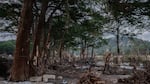 Debris lies along the Guadalupe River.