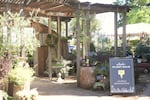 Paul Durant says wine is just one reason people visit them at Red Ridge Farms, pictured here in Dundee Hill, Ore. on Sept. 8, 2026. There's also a shop, olive groves, beehives and lavender fields.