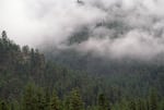 Mill Creek Drainage is pictured in the Ochoco National Forest on July 9, 1999.U.