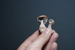 Researchers are publishing some of the first data in humans that signals psilocybin holds potential for patients with neurodegenerative diseases.