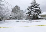 Safety tape marks off a downed power line in SE Portland, Jan. 11, 2017.