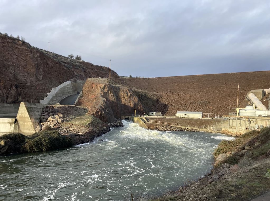 Hundreds of thousands of juvenile Chinook salmon die in Klamath River while  moving through dam - OPB