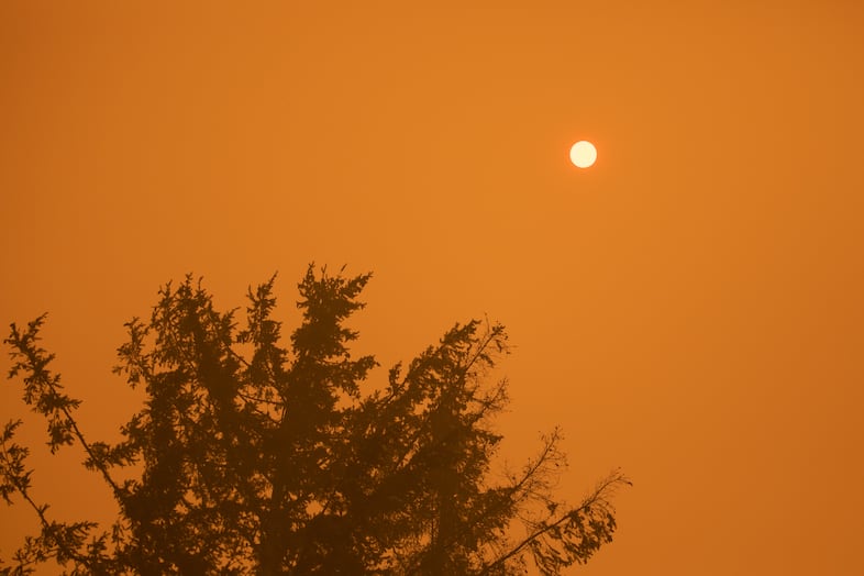 Wind and heat picked up near Gates, Ore., Sept. 9, 2020, as Graham, Nouack and DeVos worked to clear the property.