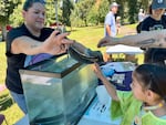 Yakama Nation biologist Dave’y Lumley shows Ava McJoe, 8, an adult lamprey at the Yakama Nation's Willamette Falls Lamprey Celebration.