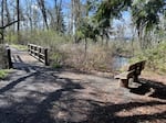 One of the two "Accessible Trails" located at Mount Pisgah Arboretum on March 5, 2025.