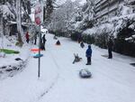 Stuart Drive is a popular sledding spot on Alameda Ridge in Portland.