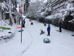 Stuart Drive is a popular sledding spot on Alameda Ridge in Portland. 