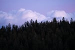 Dusk falls over a forested ridge in the Blue Mountains, north of Enterprise, Ore., on May 20, 2026.