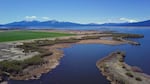 Scientists believe crashing sucker populations in Upper Klamath Lake are connected to massive algae blooms that diminish water quality.